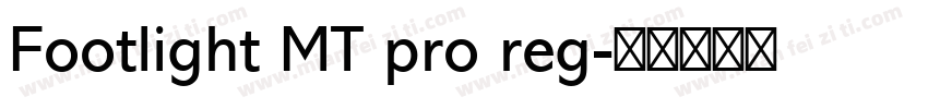Footlight MT pro reg字体转换